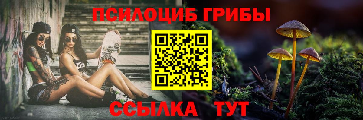 Псилоцибиновые грибы Magic Shrooms Северобайкальск