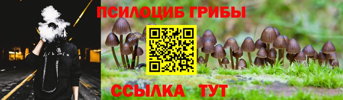 Северобайкальск  как найти наркотики  Псилоцибиновые грибы Cubensis  Вход с VPN  Галлюциногенные грибы Psilocybine cubensis 